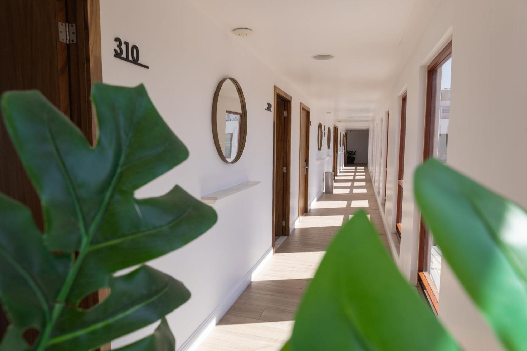 Six Hotel Guadalajara Degollado Kültér fotó